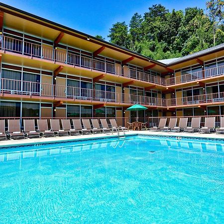 פיג'ן פורג' Wild Bear Inn מראה חיצוני תמונה